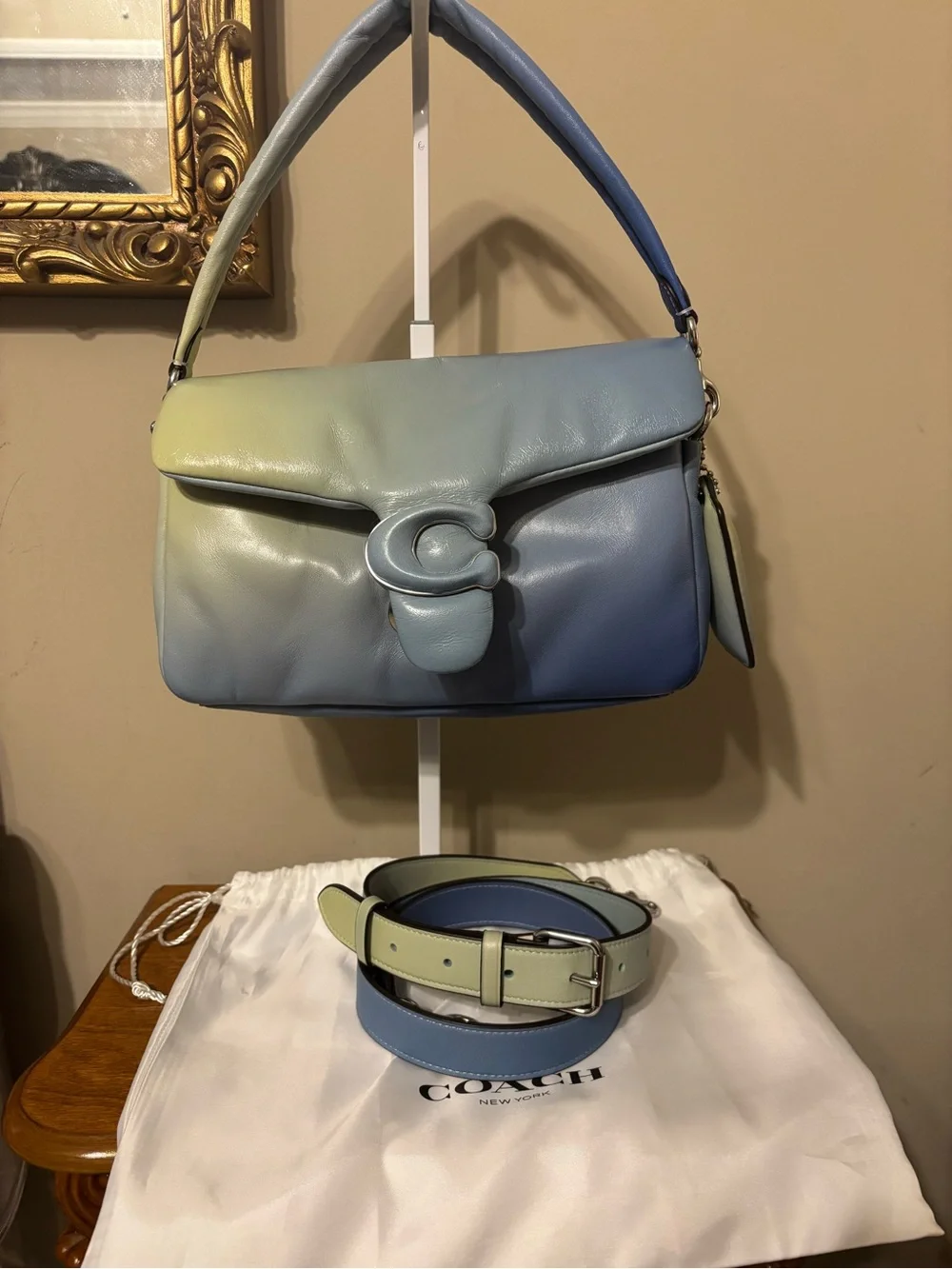 Coach Ombre Leather Shoulder Bag in Blue and Green Gradient